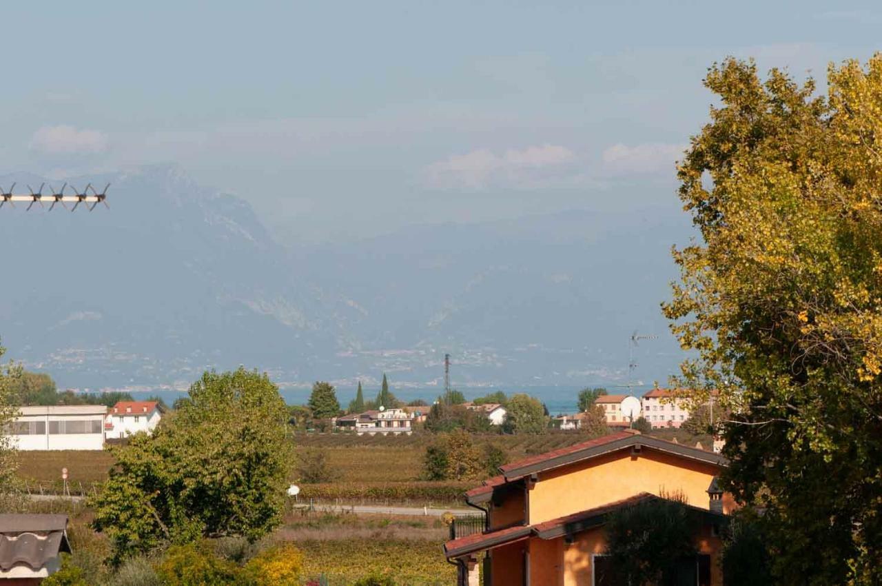 Turistica Il Vigneto *