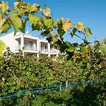 Residenza Turistica Il Vigneto